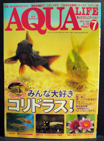 AQUALIFE396.jpg